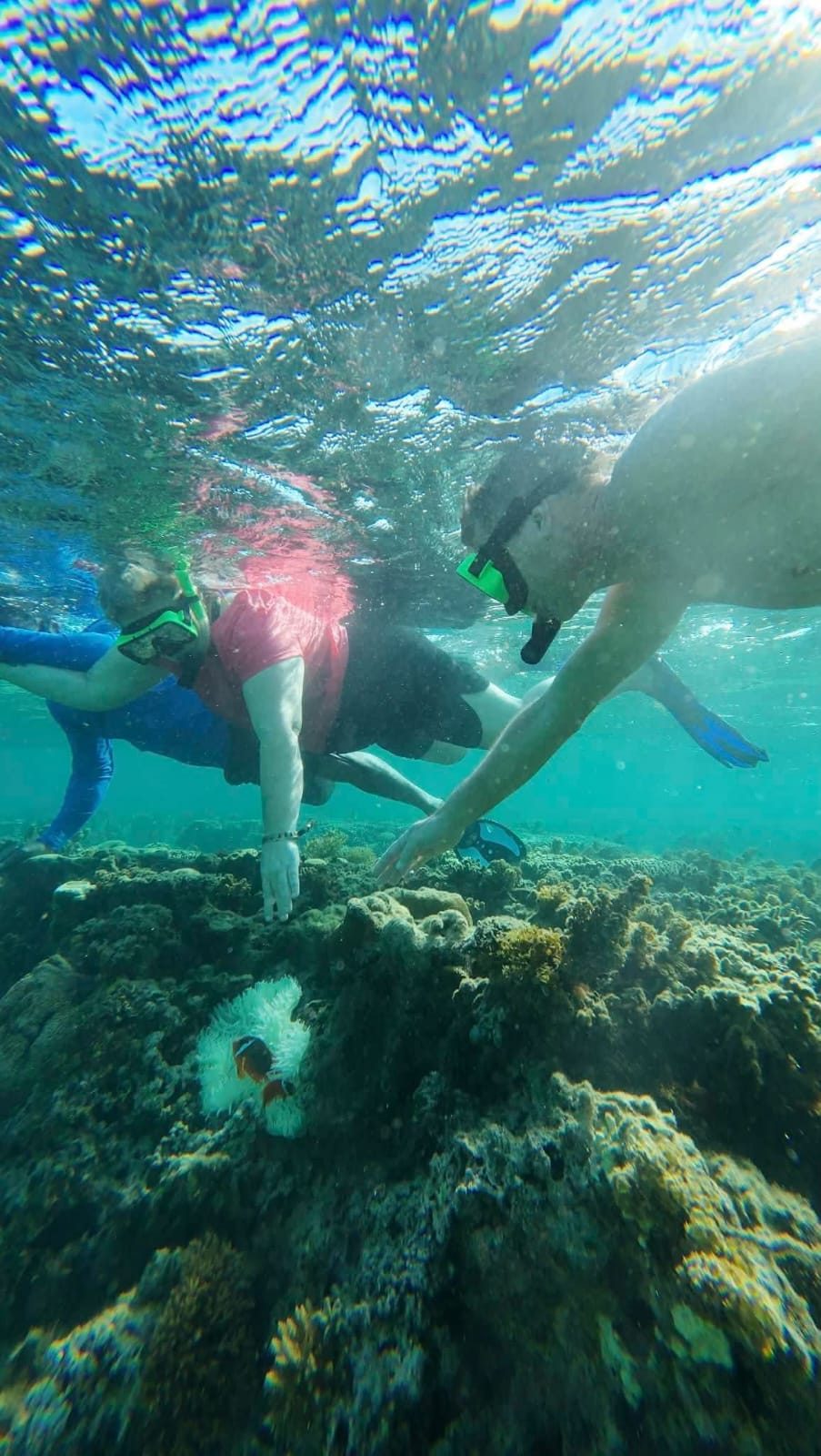 Snorkellers exploring the reef